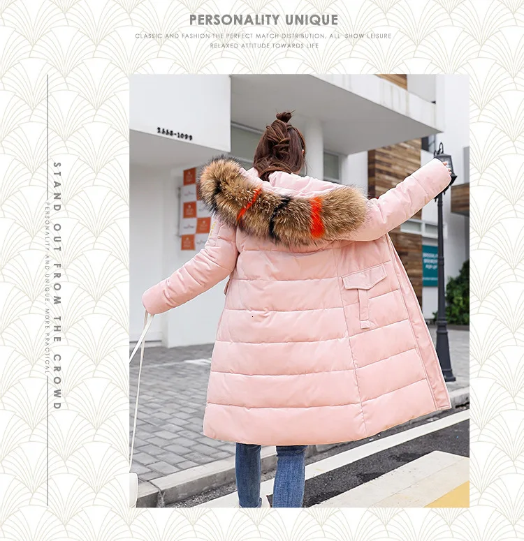 9069956013_1006637240