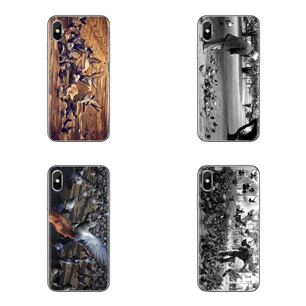 For iPod Touch Apple iPhone 4 4S 5 5S SE 5C 6 6S 7 8 X XR XS Plus MAX Pigeon Feeding beautiful bird Transparent TPU Cases Covers |