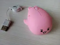 Computer Peripherals