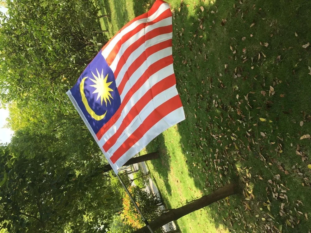 QQ图片20190712135403