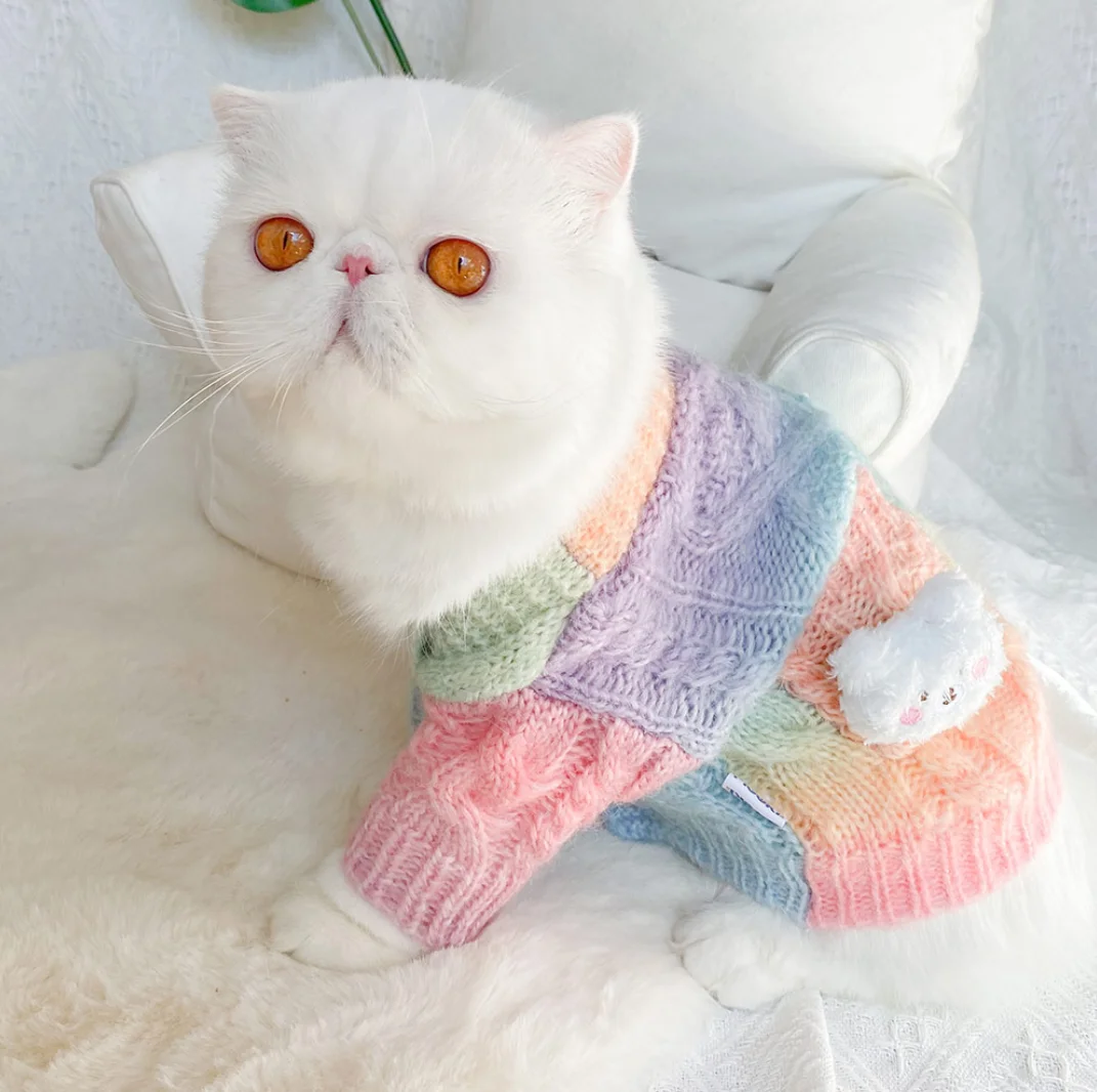 Rainbow Series Tie-Dye Cat Clothes