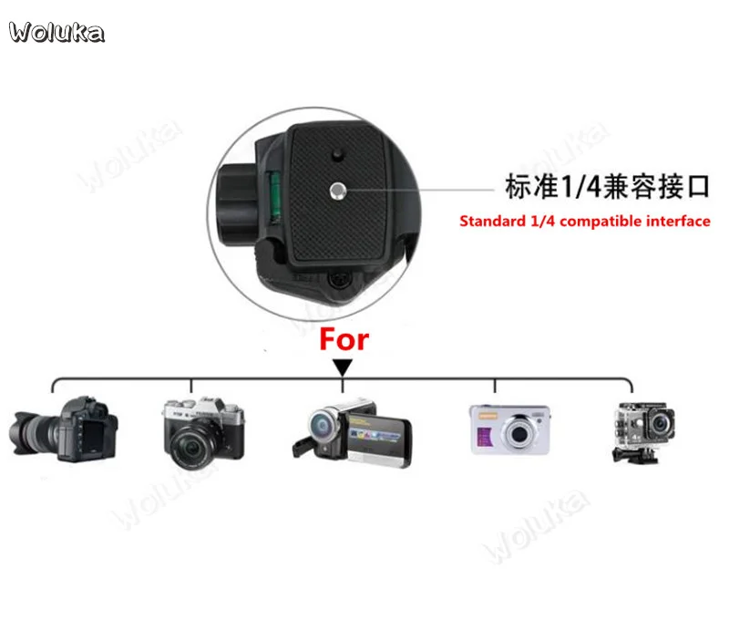 360截图20200303152516065