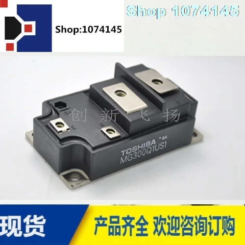 MG300Q1US1/