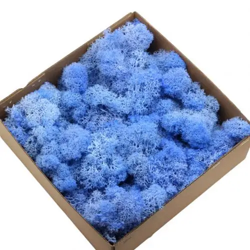 Bright Blue 1 коробка несколько цветов DIY Искусственные растения вечная жизнь сушеный мох консервированные декоративные свадебные цветы Декор - Цвет: Bright Blue