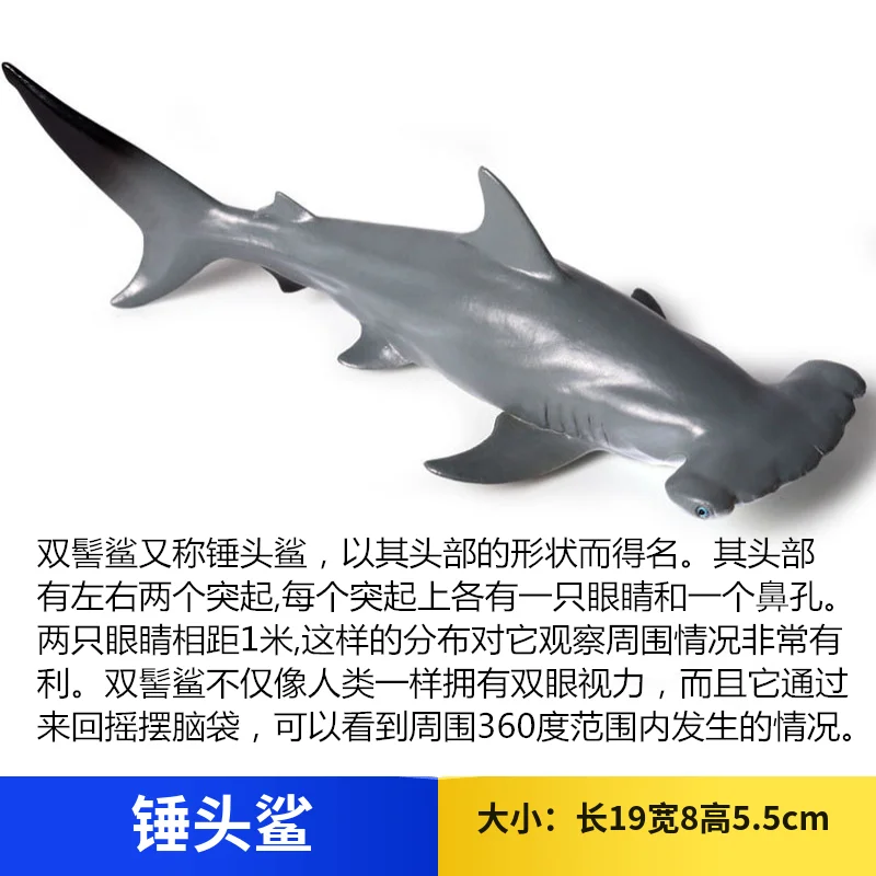 Маленькая модель игрушка-Акула Рыба океаны есть Акула Синяя Акула Megalodon Мужская Акула Большой Белый Кит акула