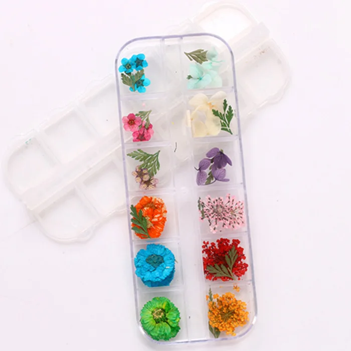 Натуральные высушенные цветы 3D дизайн дизайна ногтей советы из серии «сделай сам» Маникюр 12 цветов Мода HJL2019