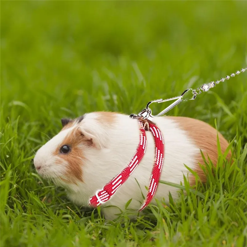 Adjustable Pet Hamster Leash Harness Rope Gerbil Cotton Rope Harness