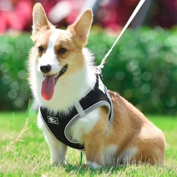

Dog Harness With Leash Summer Pet Adjustable Reflective Vest Walking Lead For Puppy Polyester Mesh Harness For Dog