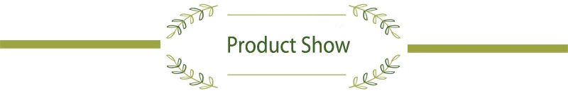 b标题栏-product show