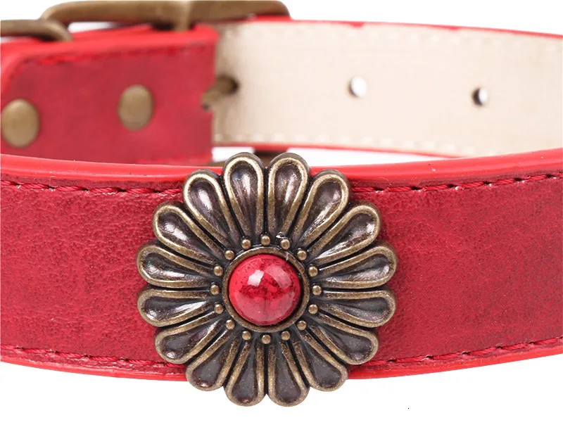 dog collar flower