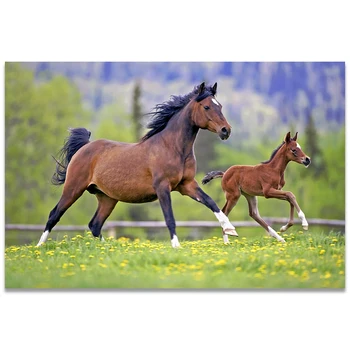 

Black White Horses Posters and Prints Canvas Wall Art Running Horses Cubs Canvas Wall Picture For Living Room Cuadros Decoracion