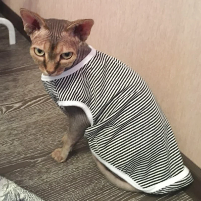 Летняя одежда для кошек, хлопковый полосатый жилет, одежда для питомца, комплект одежды, рубашка 25S2, футболка с котенком для милого щенка