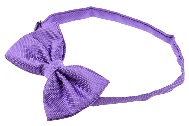 Мужской простой полиэстер предварительно завязанный Свадебный галстук-бабочка(фиолетовый светильник