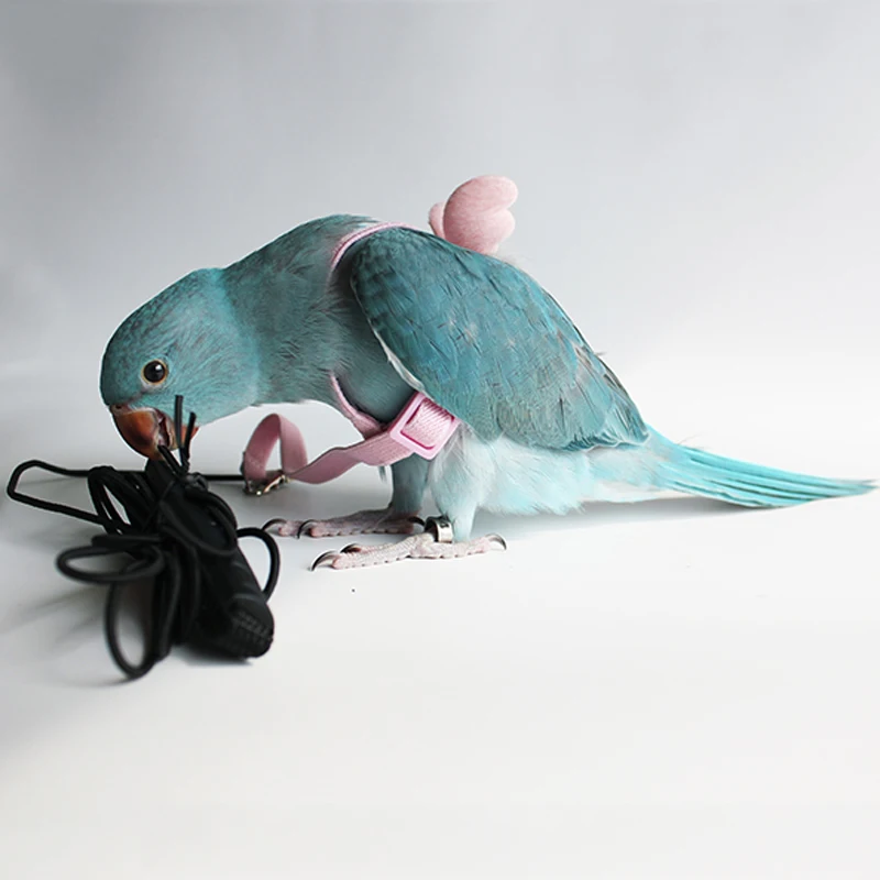 Title 11, 2M Adjustable Bird Parrot Harness Leash Kit Out...