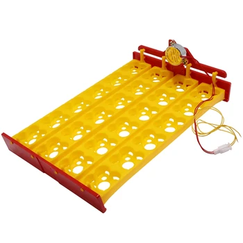 

Top-1/Hand Incubator 24 Egg Trays Motor 110V Optional Farm Poultry Incubator