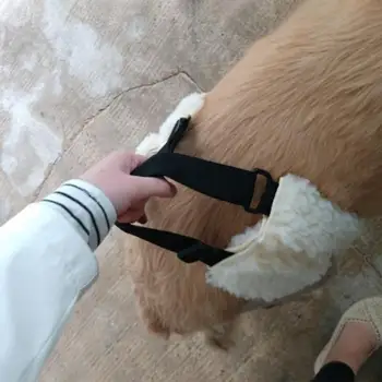 

Dog Auxiliary Belt Dog Harness Adjustable Legs Belt Hip Brace Harness For Disabled Dogs Arthritis Pet Care Dog