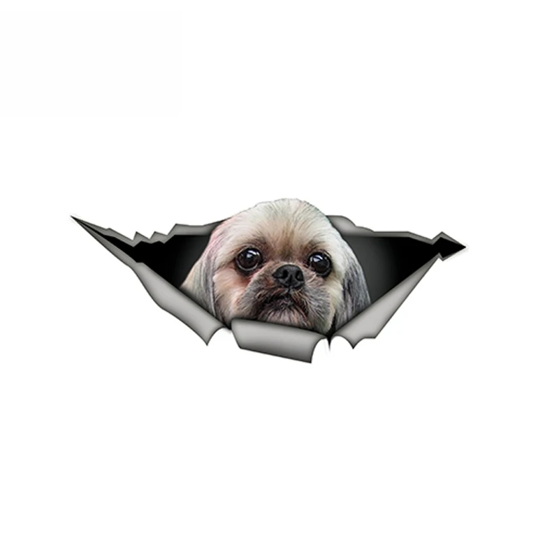 

SZWL Shih Tzu 3D Car Stickers Funny Pet Dog Decal Creative Modified Stickers Waterproof Auto Accessories Decoration PVC,15cm*6cm