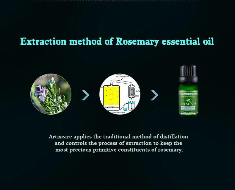 rosemary_07