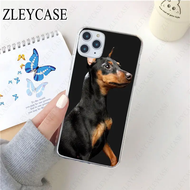 black Dachshund Doberman Dog face