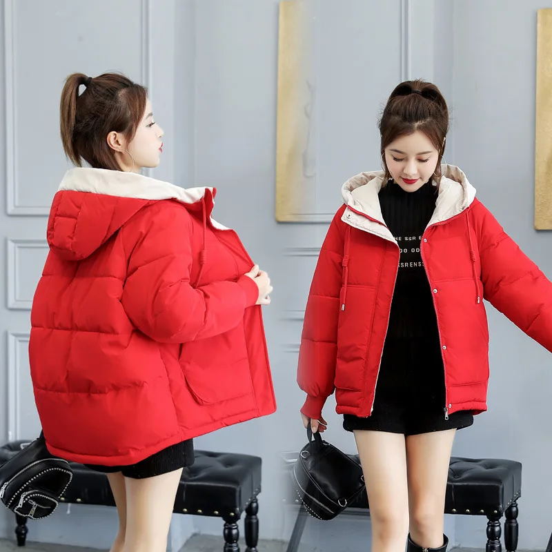 

Photo Shoot 19 New Style down Feather Women's Korean-style Dongdaemun Loose-Fit BF Students Cotton-padded Clothes INS Hong Kong