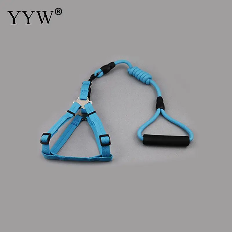 light blue Ошейник поводок ошейник для собаки лента ремень сильный полиэстер Веревка Регулируемая тренировочная ходьба товары для домашних собак - Цвет: light blue