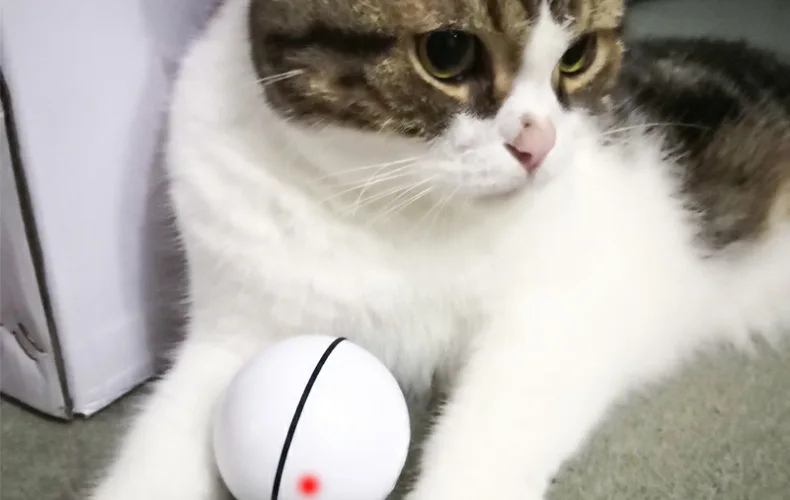 Игрушки для домашних кошек светодиодный лазерный красный свет электронный прокатный шар забавная игрушка для домашних животных кошка собака Интерактивный Лазерный шар электрическая забавная игрушка