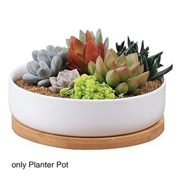 

Succulent Small Hole White Ceramic Flower Plant Pot Office Durable Decoration With Bamboo Tray Desktop Home Moisture Proof