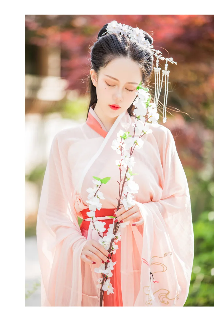Tang Song Wei Jing HanFu Сказочный хлопковый вышитый Женский сказочный кран с перекрестными рукавами жилет+ куртка юбка повседневный летний древний костюм
