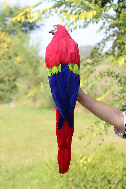 Grande Colorido Vermelho-azul Penas Papagaio Espuma & Pássaro Modelo. Jardim Decoração Presente W0886 60cm 2 Animais de pelúcia