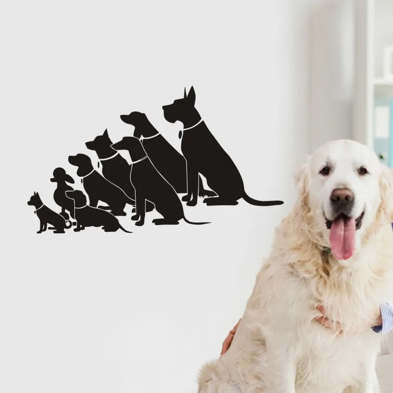 DCTAL Dog Grooming Salon Pet Shop Sticker Decal Posters Vinyl Wall Art Decals Parede Decor Mural Pet Shop Sticker
