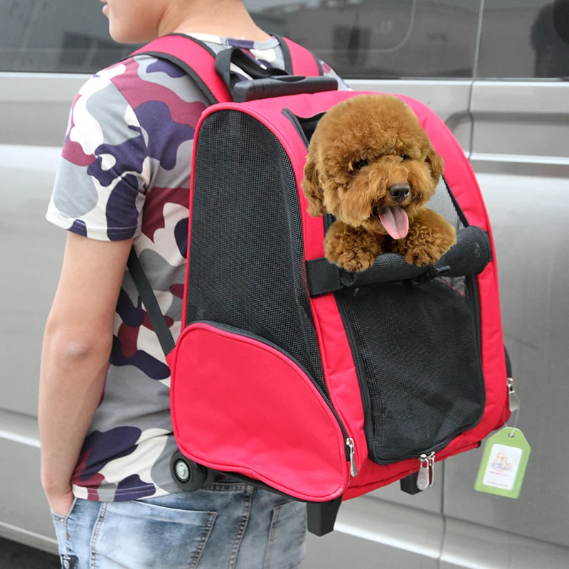 Красный плюшевый поводок для домашних животных, дорожная сумка для собак, двойной походный портативный рюкзак для собак, сумка-переноска для маленьких собак, DD60GB