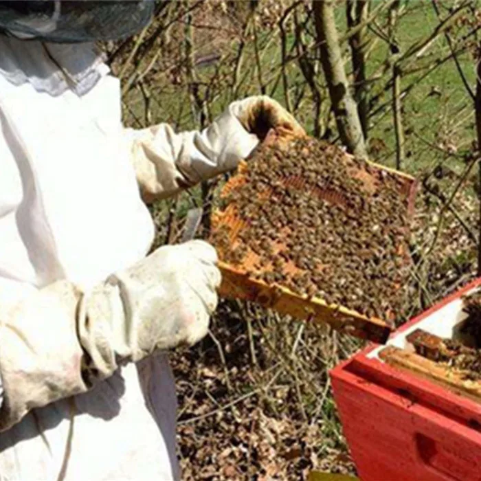 Хит, 4 в 1 защита от пчел оборудование комплект костюм для пчеловода шляпа перчатки, Инструменты Kit D6