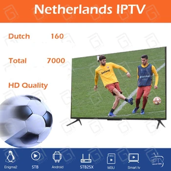

Best Netherlands IPTV 1 year nederlands IPTV Subscription Sport Android code m3u For Smart Tv Enigma2 TVIP Box free test account