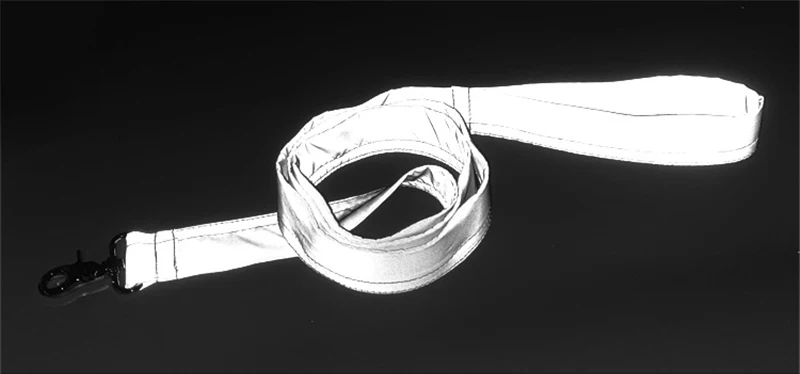 Personalized Collar (8)