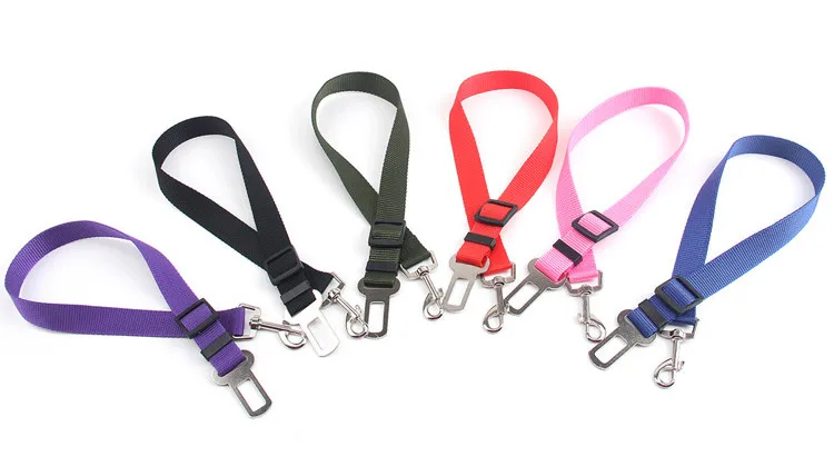 3069692504_1693295712