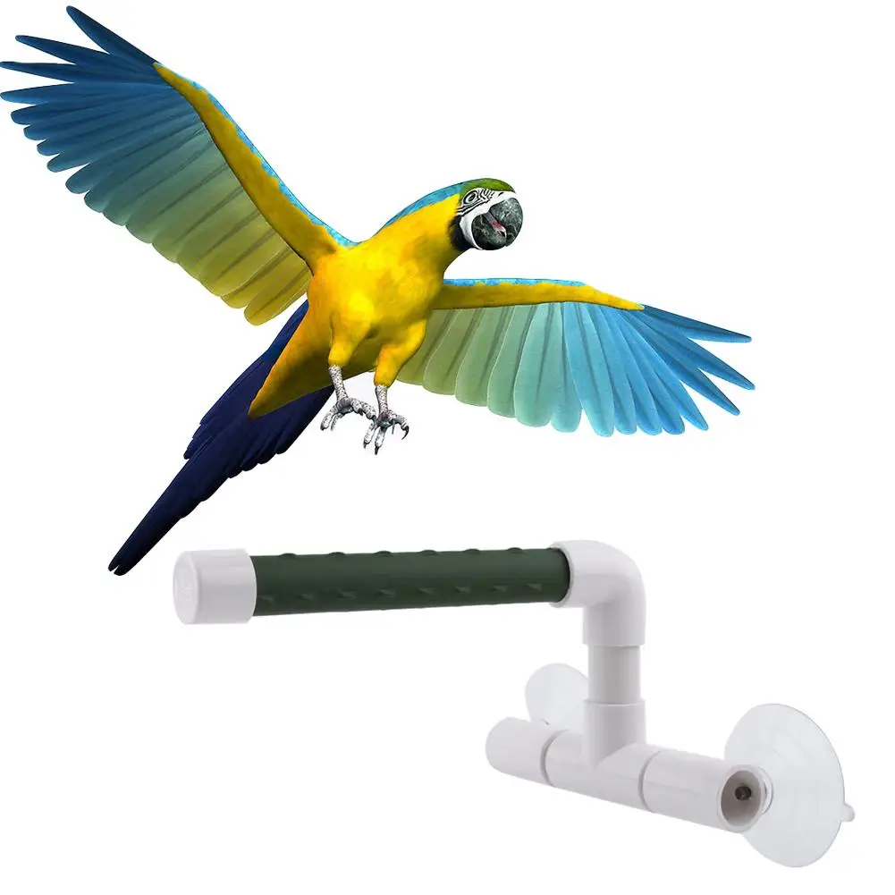 Pet Parrot perches птица душ для купания подставка для Budgerigar Cockatiel Parakeet семена еда контейнер настенная присоска чашка кормушка для птиц