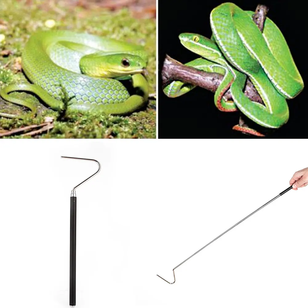 

Long Handle for Tongs Catching Tools Snake Hook Adjustable Hook Tool Stainless Steel Catch Snakes 1 Pcs Sliver Reptile
