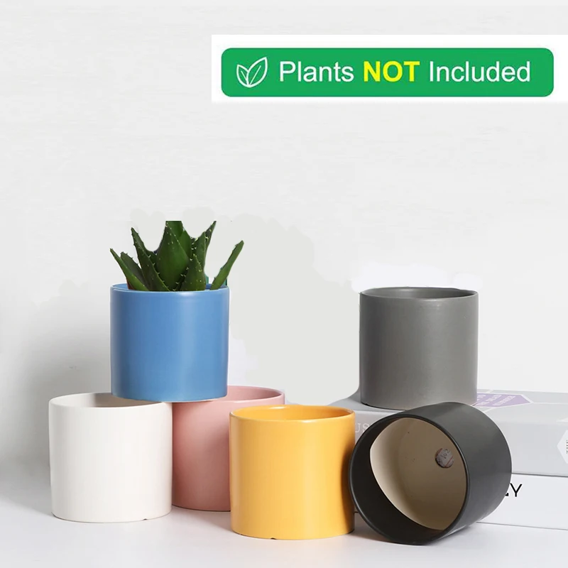 

T4U Ceramic Simple Style Serial succulent planter Plant Pot Cactus bonsai Pot Flower Pot Container garden decoration 6 color