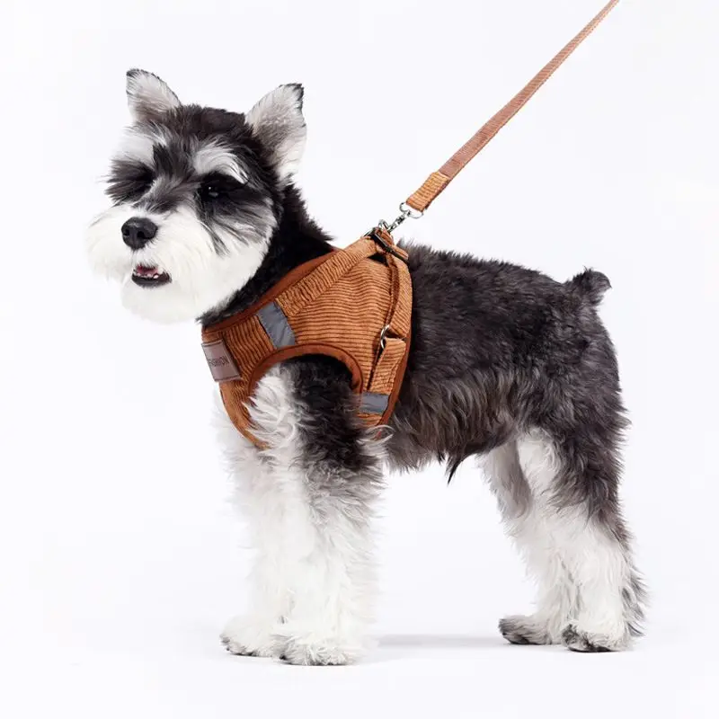 Pet открытый шлейка и поводок набор разгрузка для собак удобный легкий контроль для маленьких собак аксессуар для шеи