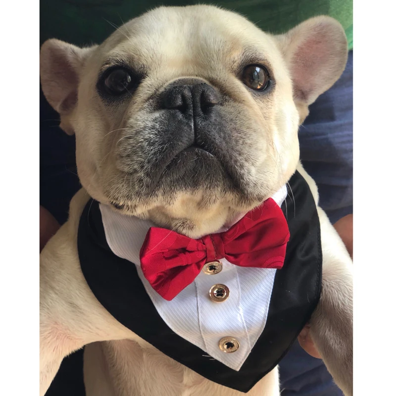 

Boy Dog Necktie Male Dog Collar Wedding Costume Bow tie Pet Dog Accessories Shiba Inu Poodle Bichon Pug French Bulldog Apparel