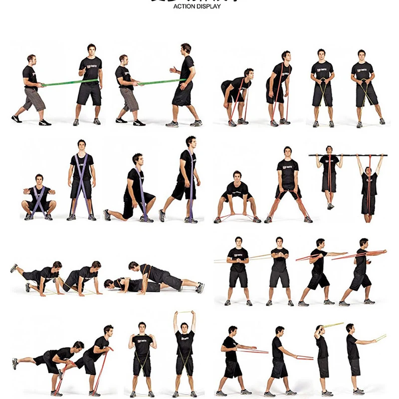 8815998508_1610114528