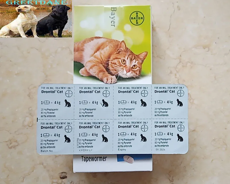 Bayer Drontal Plus для кошек 24 таблетки/40 таблетки greatane|Принадлежности кормления и