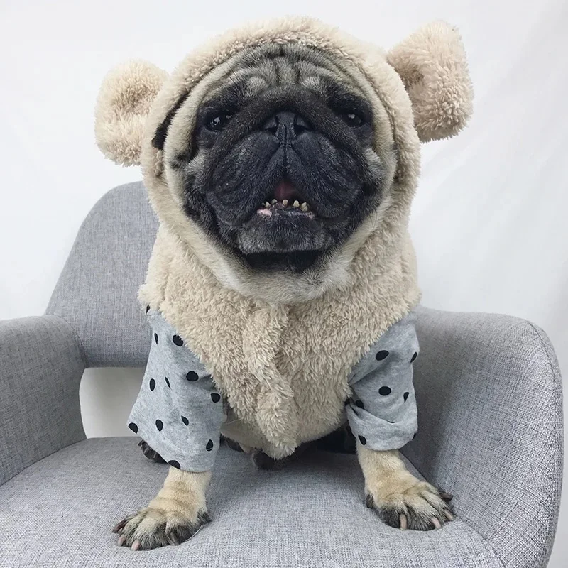 

Cute French Bulldog Warm Jacket Fashion Coat Winter Sweater Pet Dog Clothes Small Medium Dogs Corgi Chihuahua Pug Costume KLC10
