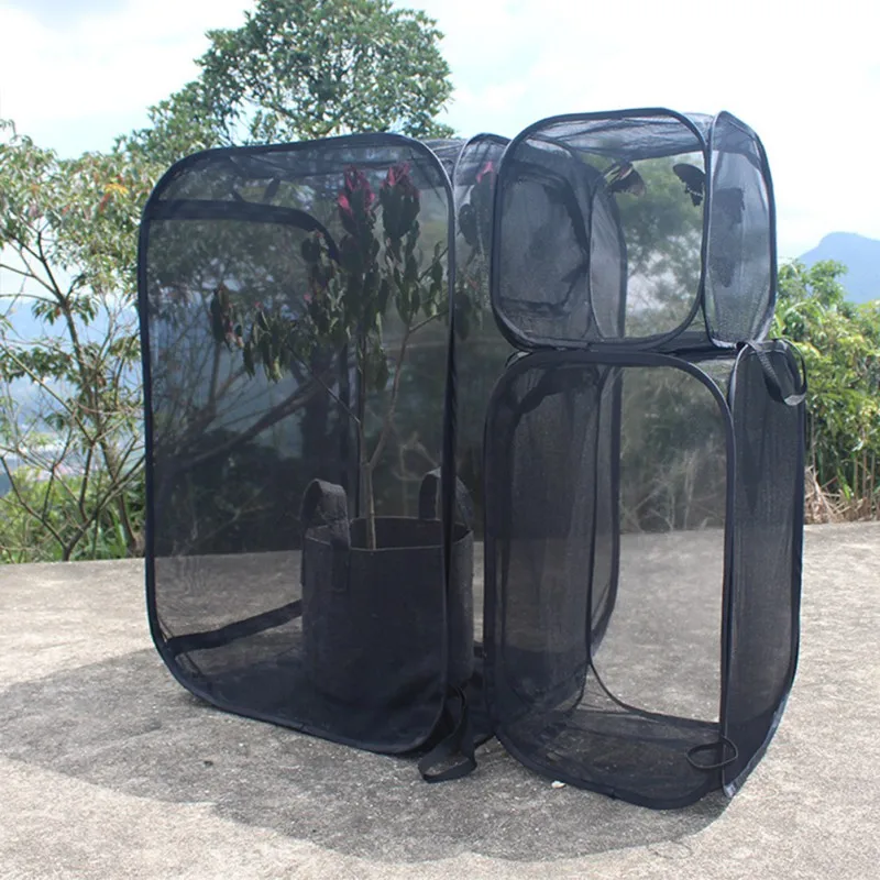 

Insect Proof Ant Farm Butterfly Habitat Box Transparent Plant Seedlings Incubator Portable Collapsible Insect Cage
