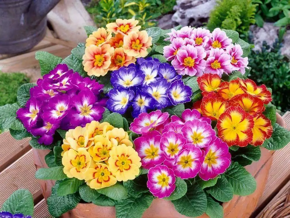 

2017 new arrived DIY 5D Diamond Embroidery Diamond painting Mosaic Picture full flowers Round Rhinestones Diamond Painting