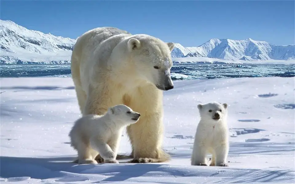 360截图20190428174731200