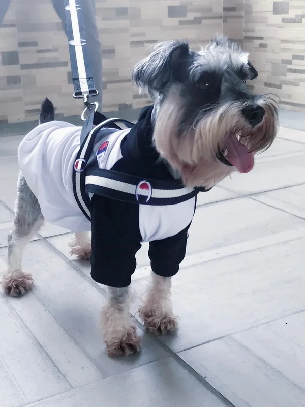 webwxgetmsgimg (22)_