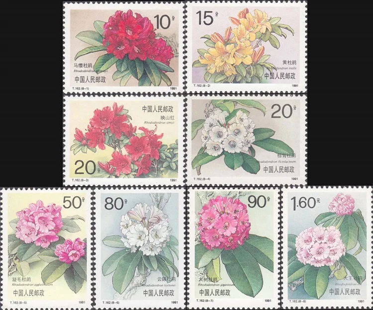 Набор Rhododendron Simsii 1991 8 шт. набор марки T162 почтовые расходы коллекция|Штампики| |