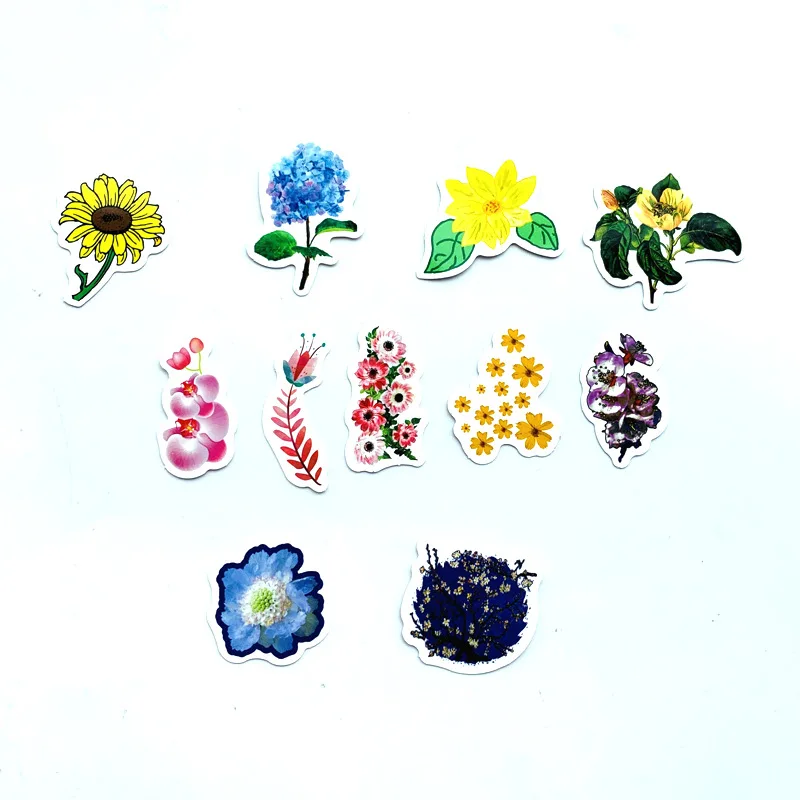 11899251136_413955102