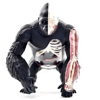 

4D Chimpanzee Intelligence Assembling Toy Animal Organ Anatomy Model Medical Teaching DIY Popular Science Appliances